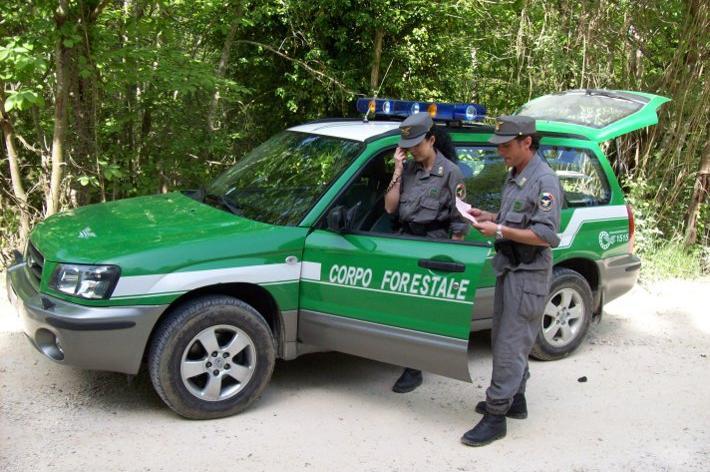 Riforme forestale, un incontro tra ANCI Sicilia e organizzazioni sindacali