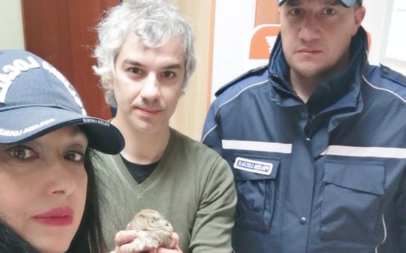 La Polizia Locale di Melilli trae in salvo una civetta