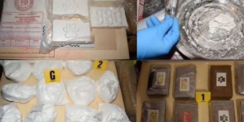 Brescia: operazione antidroga “Twistlock”