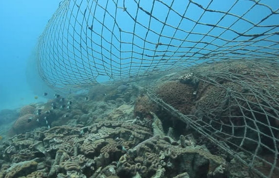 Pescatori Lampedusa, non c’è più pesce nel canale di Sicilia