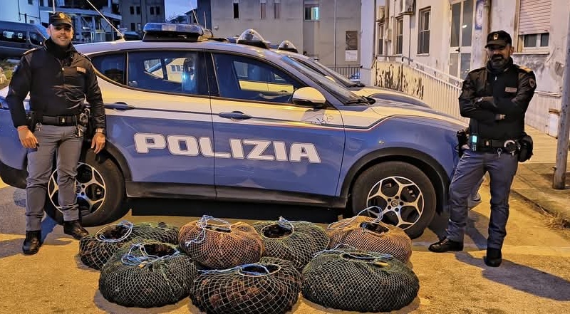 Sequestro do 150 chilo di ricci di mare