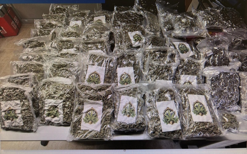 La droga nascosta nella cella frigorifera del mercato ortofriutticolo