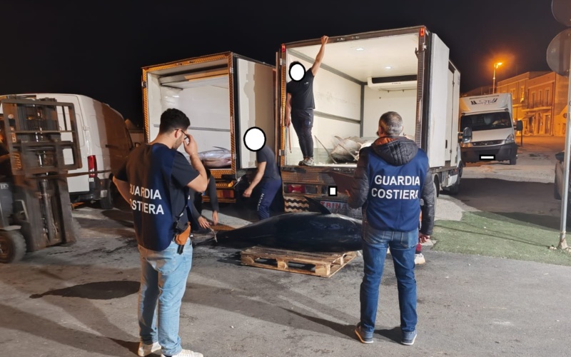 Portopalo, maxi sequestro di tonno rosso