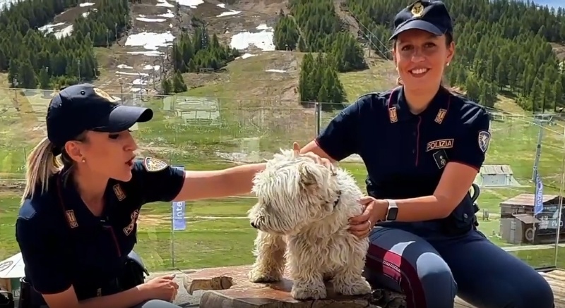 Campagna della Polizia contro l’abbandono di animali