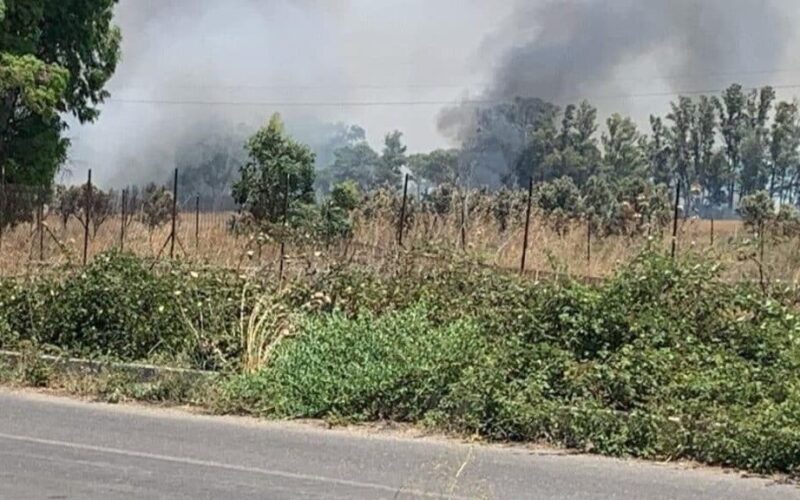 Incendio ai terreni confiscati alla mafia: solidarietĂ  unanime alla Coop