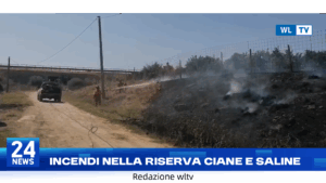 Incendi nella Riserva Ciane e Saline