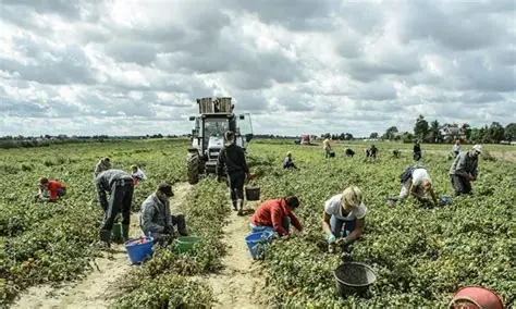 Lentini, agricoltore muore a causa del gran caldo